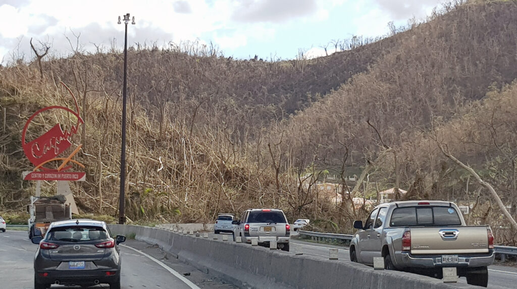 Hurricane María damaged more 95% of the flora, leaving almost no trees with leaves. Photo by Ismael Pagán-Trinidad.