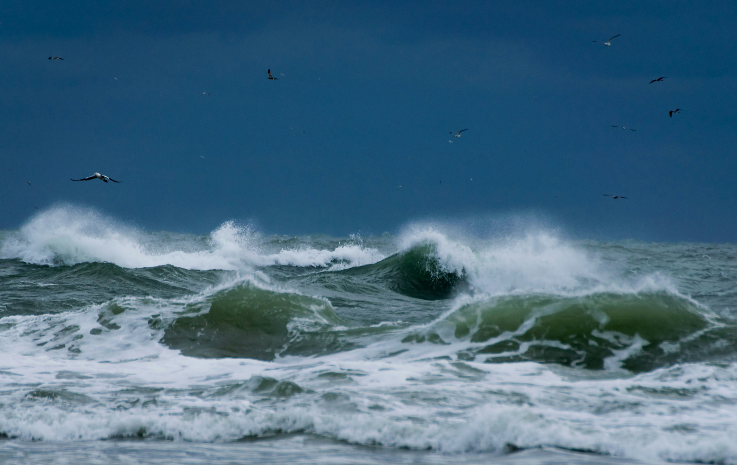 Storm waves on the Outer Banks